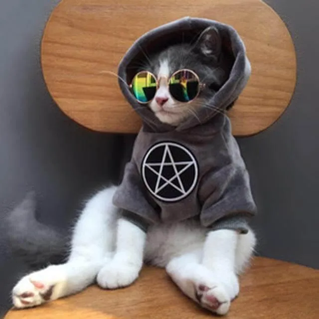Pet Fashion Hoodie