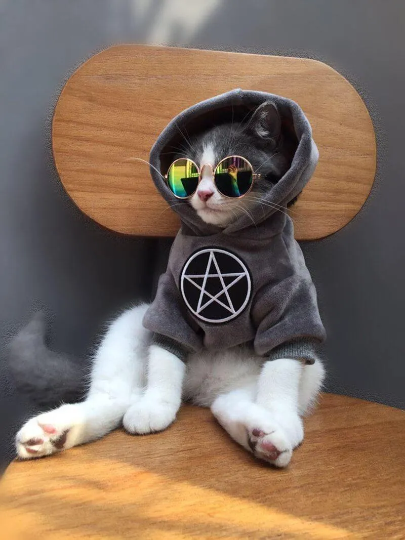 Pet Fashion Hoodie